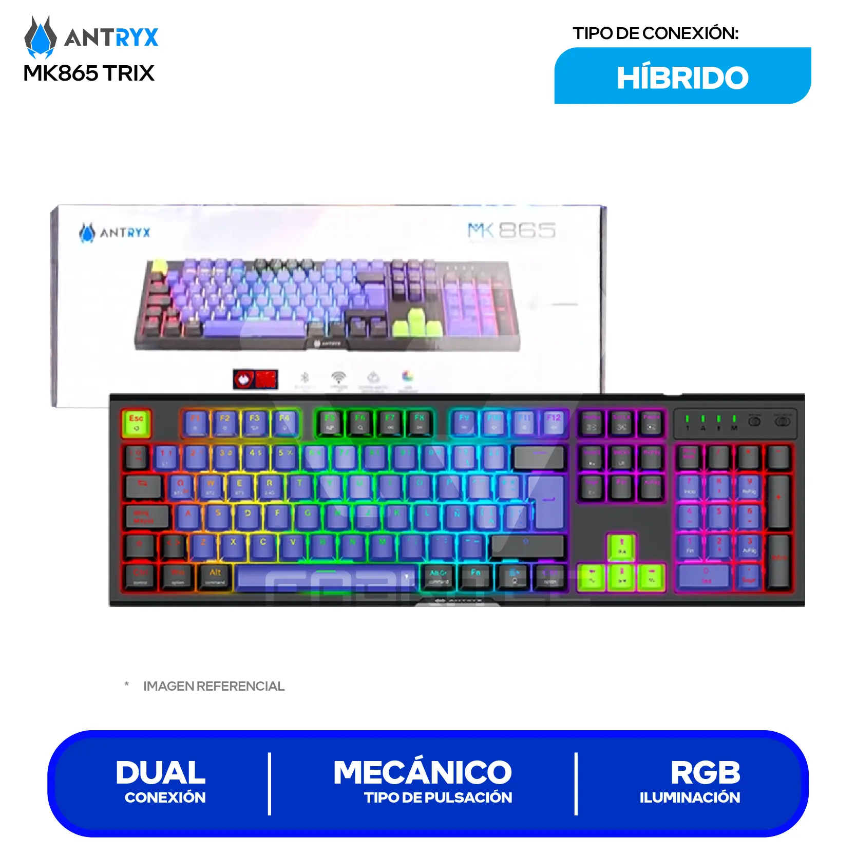 Teclado Gamer Inalámbrico Antryx MK-865 Trix Lila C/ Negro (AMK-865TXKRE-SP) Switch Red,  Mecánico RGB