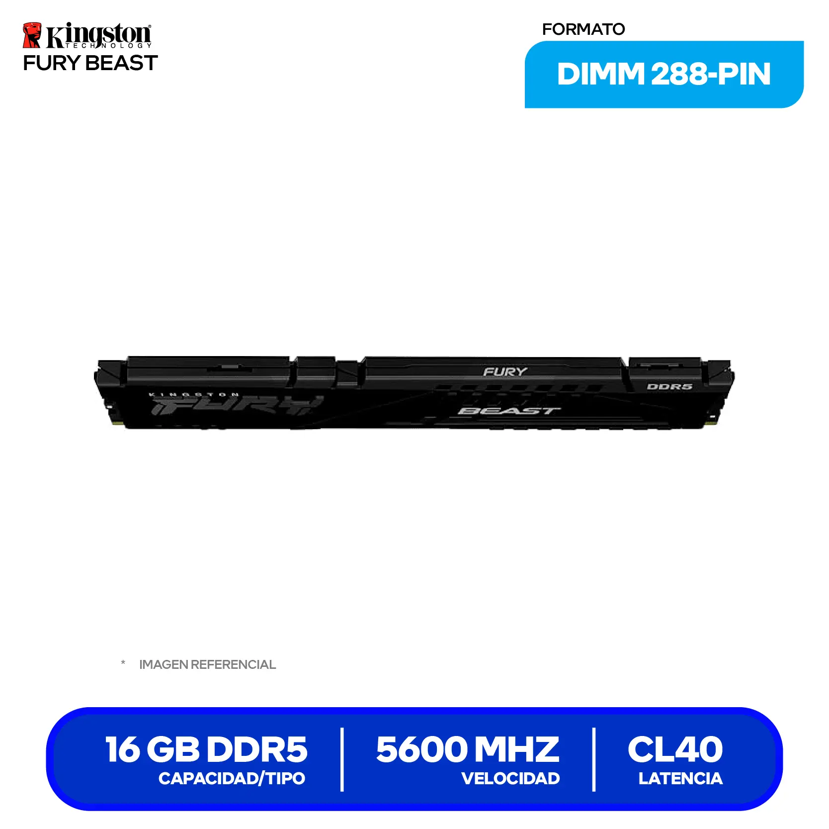 Memoria UDIMM Kingston Fury Beast (KF556C40BB-16) 16GB, DDR5, 5600 MHz