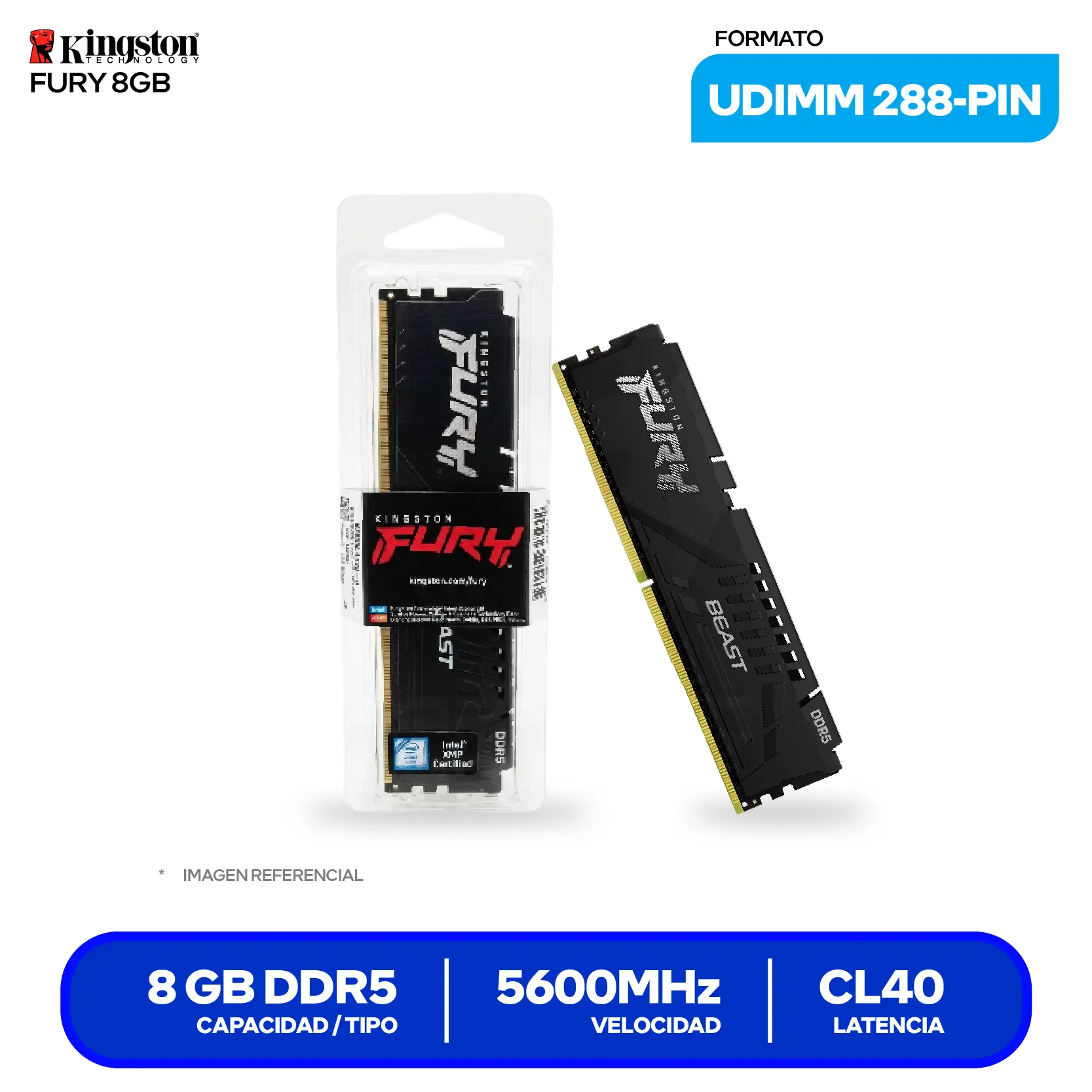 Memoria UDIMM Kingston Fury Beast (KF556C40BB-8) 8GB, DDR5, 5600 MHz